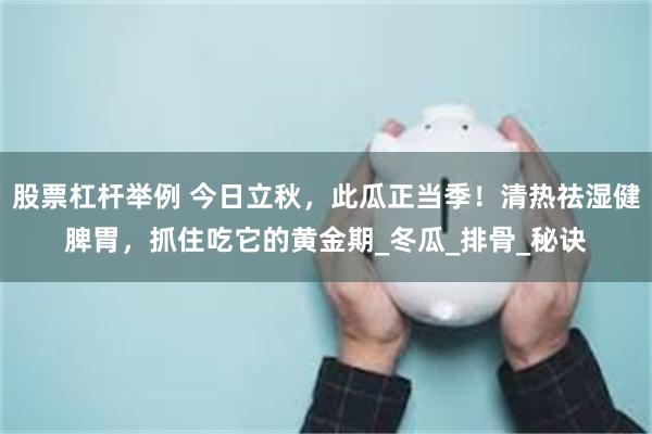 股票杠杆举例 今日立秋，此瓜正当季！清热祛湿健脾胃，抓住吃它的黄金期_冬瓜_排骨_秘诀