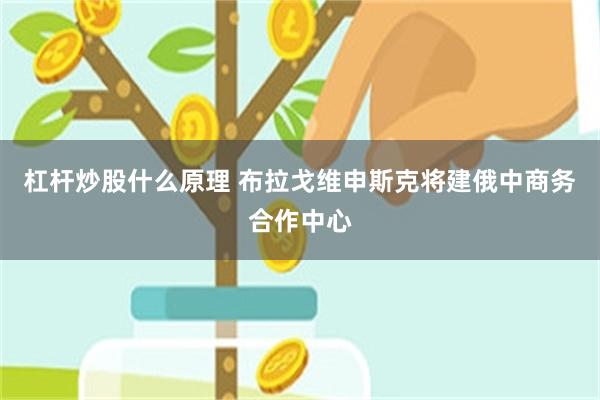 杠杆炒股什么原理 布拉戈维申斯克将建俄中商务合作中心